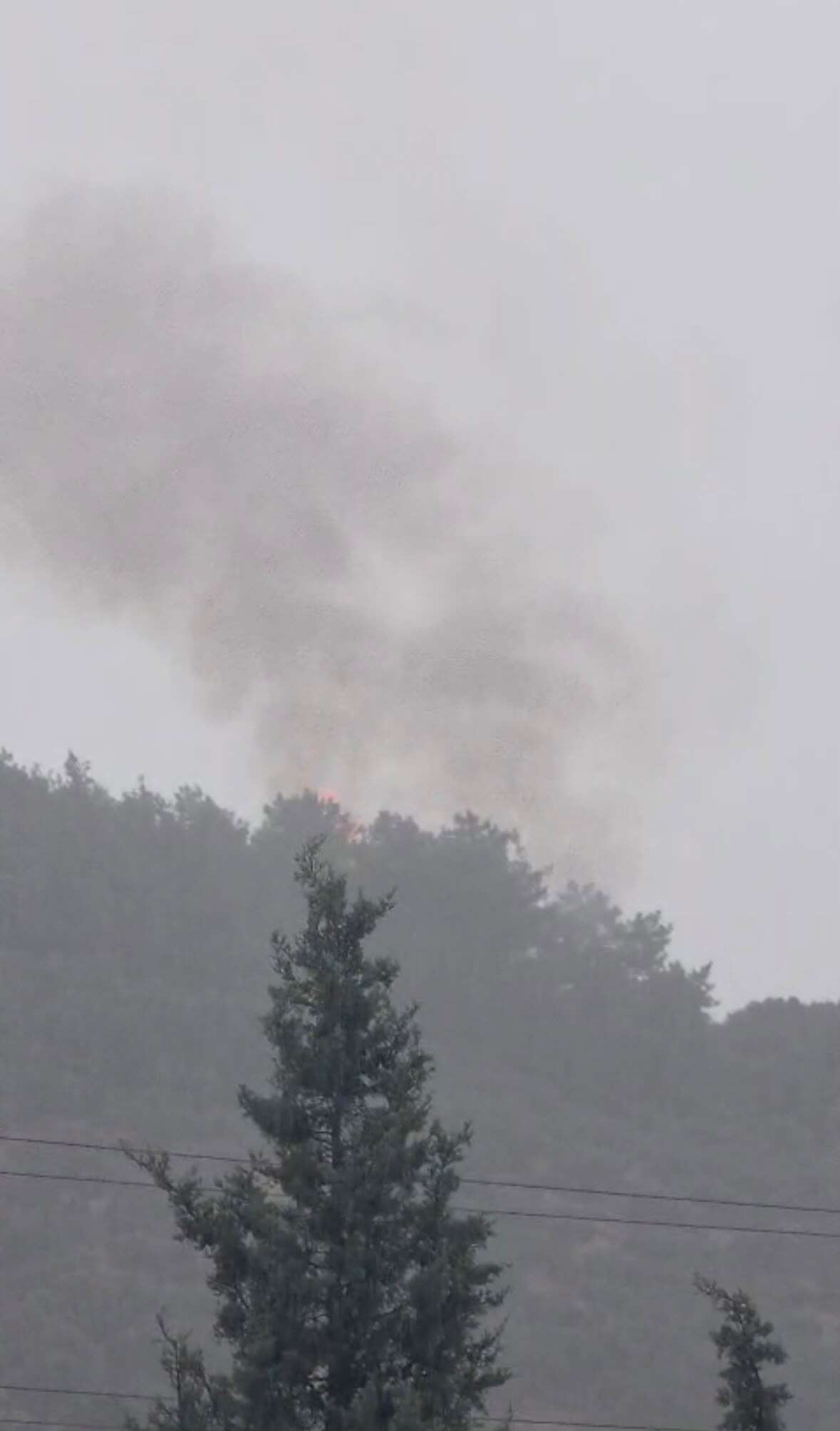 Milas'ta Orman Yangını Başladı 2